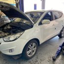 애니카랜드 북대구점 이미지