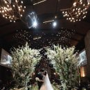 정,스튜디오 이미지