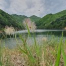 병팔농장 이미지