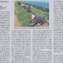 정신농장 이미지