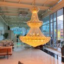 카페보타니 이미지