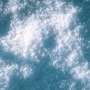 복지원예양성과정 이미지