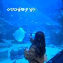 펭귄식당부천점 | 일산아쿠아플라넷 볼거리 할인 주차 정보