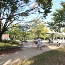 난지천공원 이미지