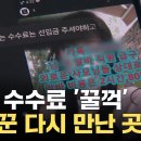 수백만 원 수입 보증에 미끼 '덥석'... 잠적한 사기꾼 다시 만난 곳? 이미지