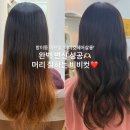 비비컷 | 방이동미용실 추천 비비컷헤어살롱 컷트 염색 대만족 후기