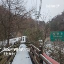 무릉도원면-51 네이버블로그