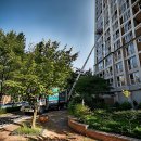 선산대로-15 이미지