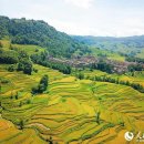 녹수청산 이미지