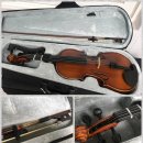 다리미, 여행용트렁크, 바이올린 올려봅니다. 이미지