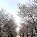 백구소공원 이미지