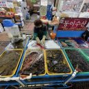 동이수산 이미지