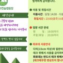 금란자연 네이버블로그