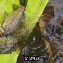 평기 이미지