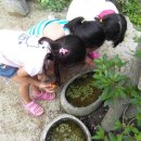 화악산풍경펜션 이미지