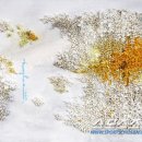 서울갤러리치과의원 이미지