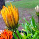 문복산 펜션 | [경주/캠핑장/글램핑] 문복산캠핑장 예약 경쟁 치열한 인기 캠핑장 솔직 후기