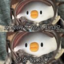 의사로 | 2026년 의사 국가고시 실기 시험 후기 🩺