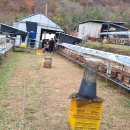 김갑수농장 이미지