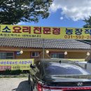 느티나무 흑염소집