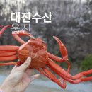대진수산 | 제철 맞은 홍게 울진 대진수산 택배 후기