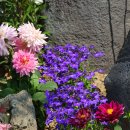 황룡강변2 이미지