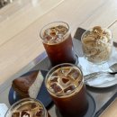 알카페 | [홍대 카페] 작업하기 좋은 조용한 홍대 카페 알 누오보 내돈내산 솔직후기