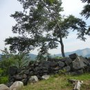 창원 안골왜성 Daum카페