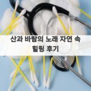 바람의노래 | 산과 바람의 노래 자연 속 힐링 후기