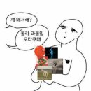 라이온 체육관 | 12/21 쏜애플 콘서트 '바다와 구름과 무대' 후기