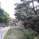 신기중학교 뒤 안심체육공원 이미지