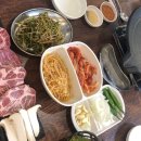 돼지박사 이미지