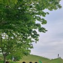 정원테라피