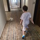 소노펫 보딩 이미지