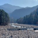 김지룡 태극권 이미지