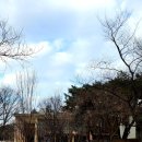 대전선사박물관 세미나실 | 대전에서 아이랑 가볼 만한 곳 선사 박물관 무료 체험 후기