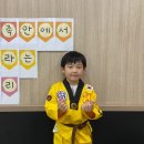 경희대동성태권도 이미지