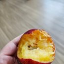 와싸다 장터 네이버블로그