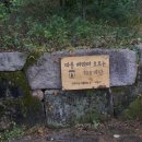 달마산 후발대 이미지