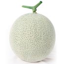 유약국 | 박물관 신사분관 고려 백자-조선 청자 전시 《미묘지색》 본 후기 (+전시 설명과 도자기 제대로 읽는 방법)