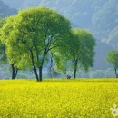 (주)옥천산업 이미지