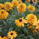 말래펜션 이미지