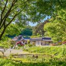 기와집 토담 | 서산 가볼만한 곳 코스 서산 유기방가옥 수선화축제 다녀왔어요