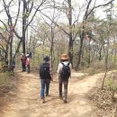 가는 봄날, 봉산에서 서오릉 천천히 걸어가기 (4. 15 진행자 후기) 이미지