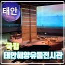 국립해양문화재연구소 태안보존센터 | 국립 태안해양유물전시관 관람기