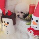 견생식탁 | 인천 남동구 강아지 유치원 독스포드 후기