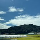 여주-0922 네이버블로그