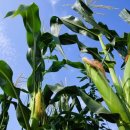 함줄공원 이미지