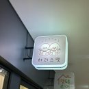 옐로삭스(애견미용) | 시흥 배곧 댕스클럽 애견미용실 내돈내산 후기｜포메라니언 구리 Before &amp; After