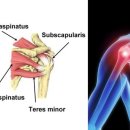 더웰샘한방병원 이미지